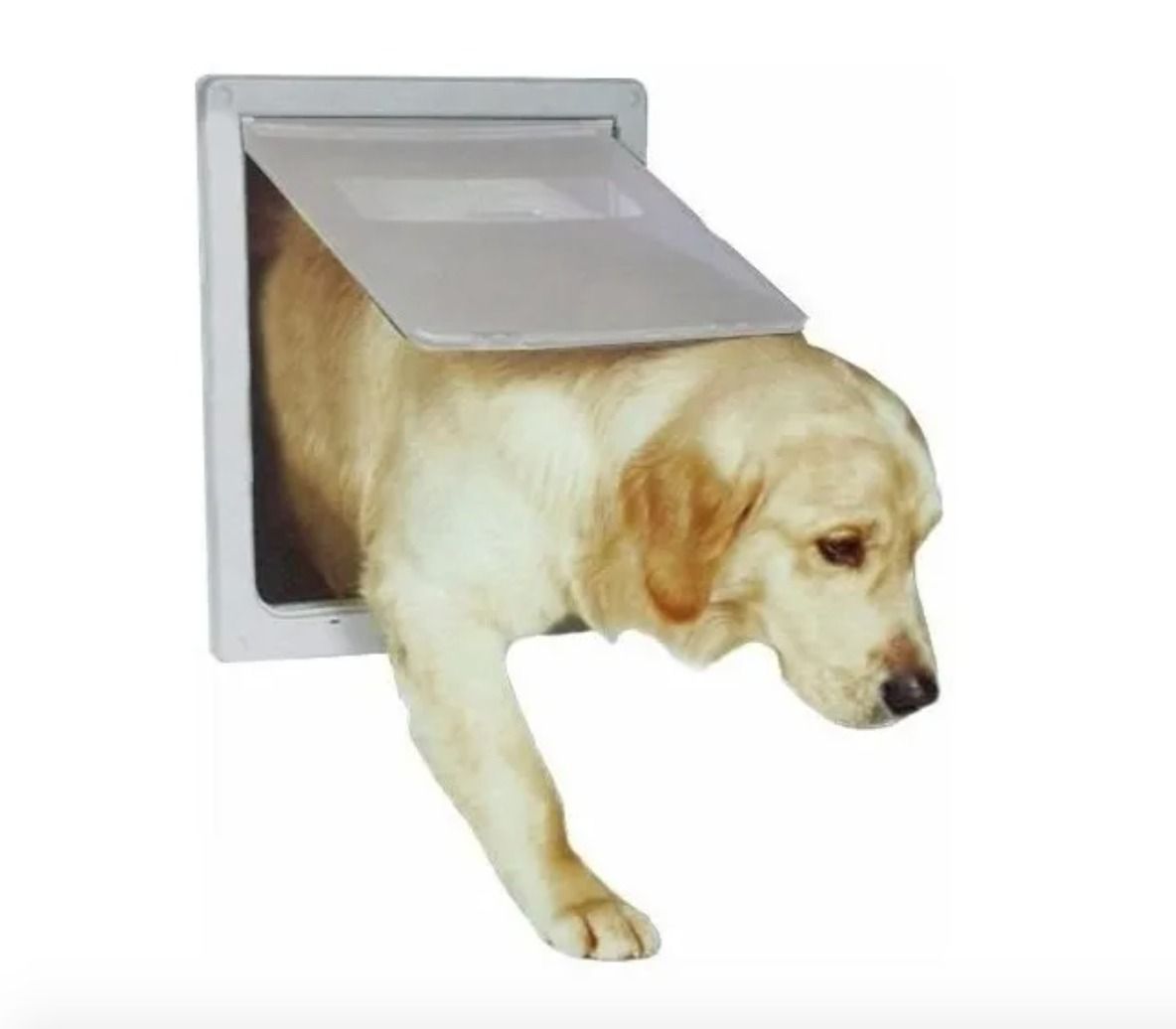 Puerta Abatible Perro MundoZOO